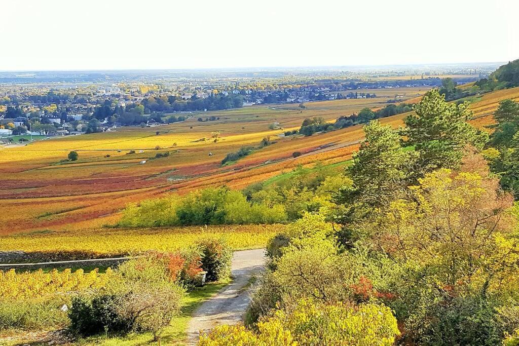 La Maison De L'Ecu : Charme Et Vue Incroyable Beaune  Exteriör bild