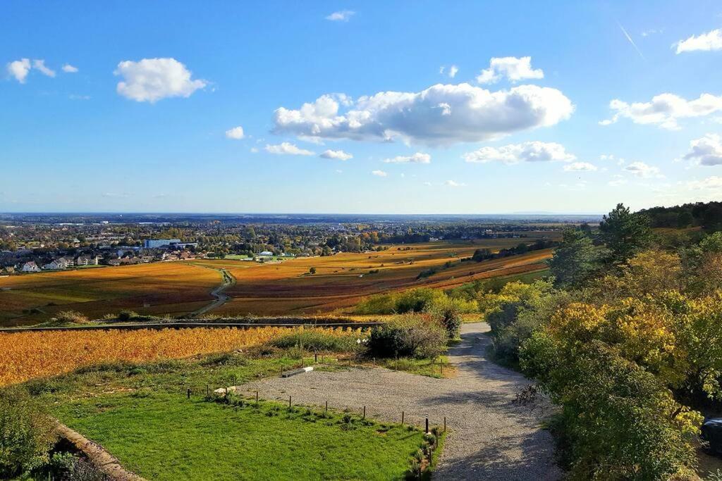 La Maison De L'Ecu : Charme Et Vue Incroyable Beaune  Exteriör bild